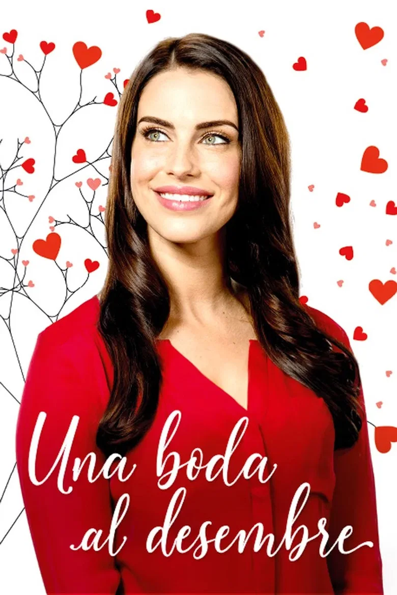 Portada de Una boda al desembre